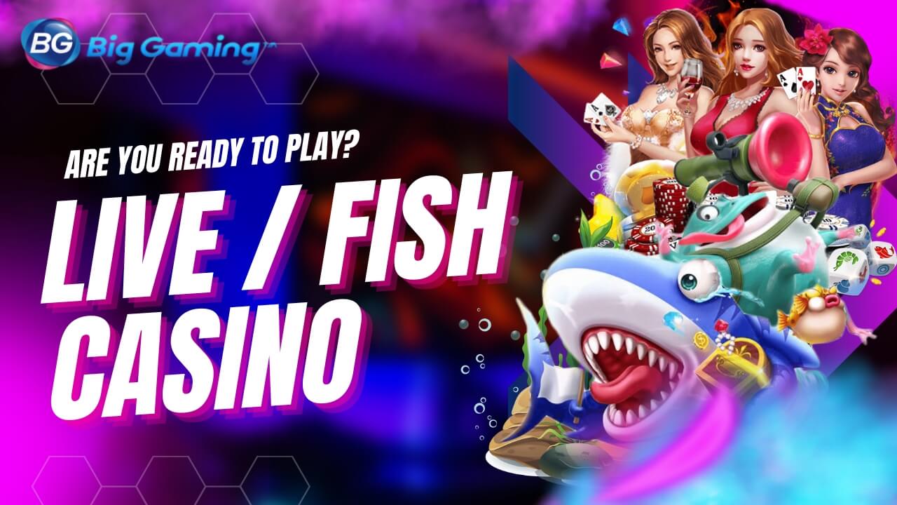 BG Gaming (BIG Gaming)