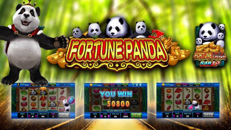 Panda Fortune